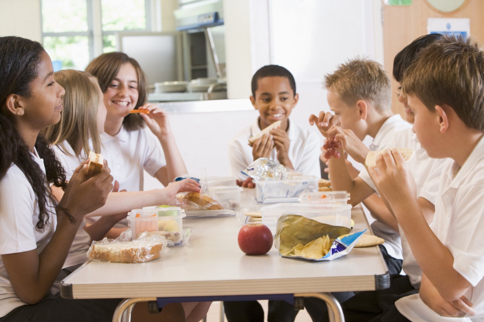 School Nutrition eStart™